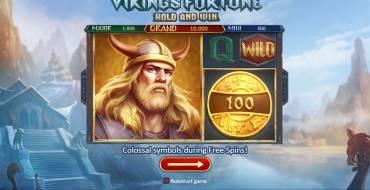 Viking Fortune: Hold and Win: Viking Fortune by Playson