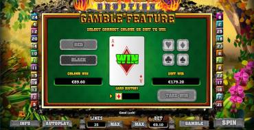 Volcano Eruption: Gamble