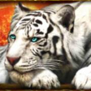 Volcano Wealth: Tiger