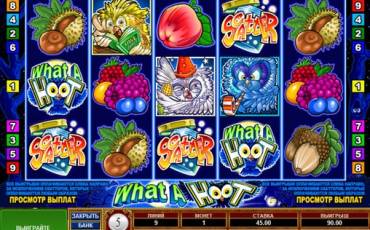 What a Hoot slot online