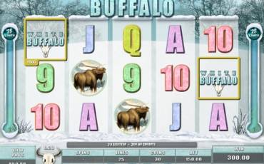 White Buffalo slot online