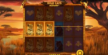 Wild Cats Multiline: Payoffs