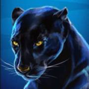 Wild Cats Multiline: Panther