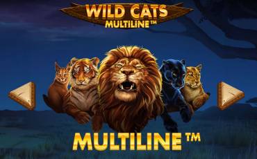 Wild Cats Multiline