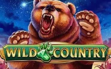 Wild Country slot online