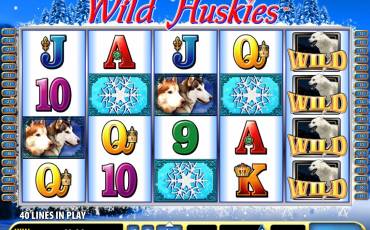 Wild Huskies slot online