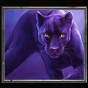 Wild Warriors: Panther