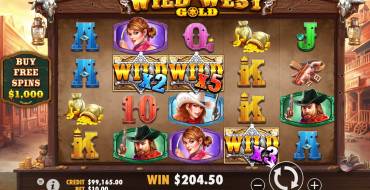 Wild West Gold: The main screen