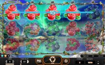 Winterberries slot online