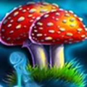 Wishing Well: Fly agarics