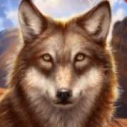 Wolf Canyon: Hold & Win: Gray wolf