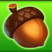 Wood Luck!: Acorn