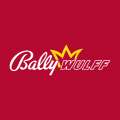 Bally Wulff casino