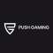 Push Gaming logo